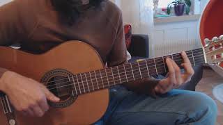 The Lemon Twigs - How Lucky Am I? guitar cover