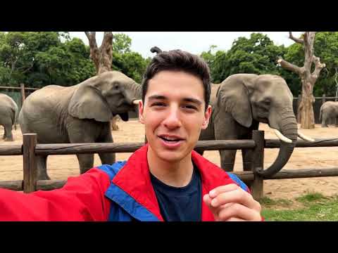 Me at the zoo . Veo3 AI version