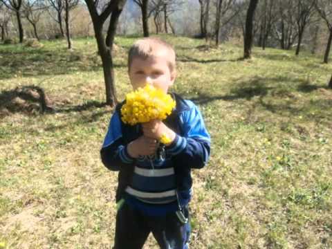 LA MULTI ANI ALEX ! ...de Mihai ANGHEL