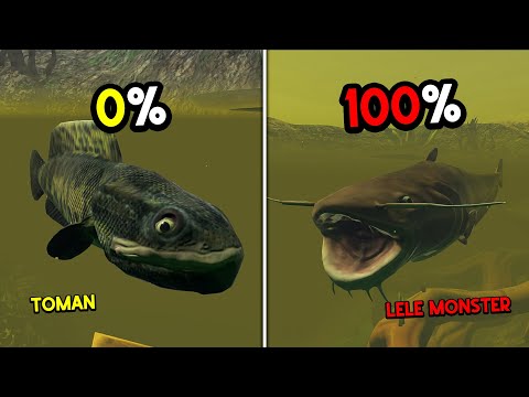 Gue Jadi Ikan TOMAN RAKSASA Sampai NGALAHIN LELE MONSTER... Feed And Grow Fish