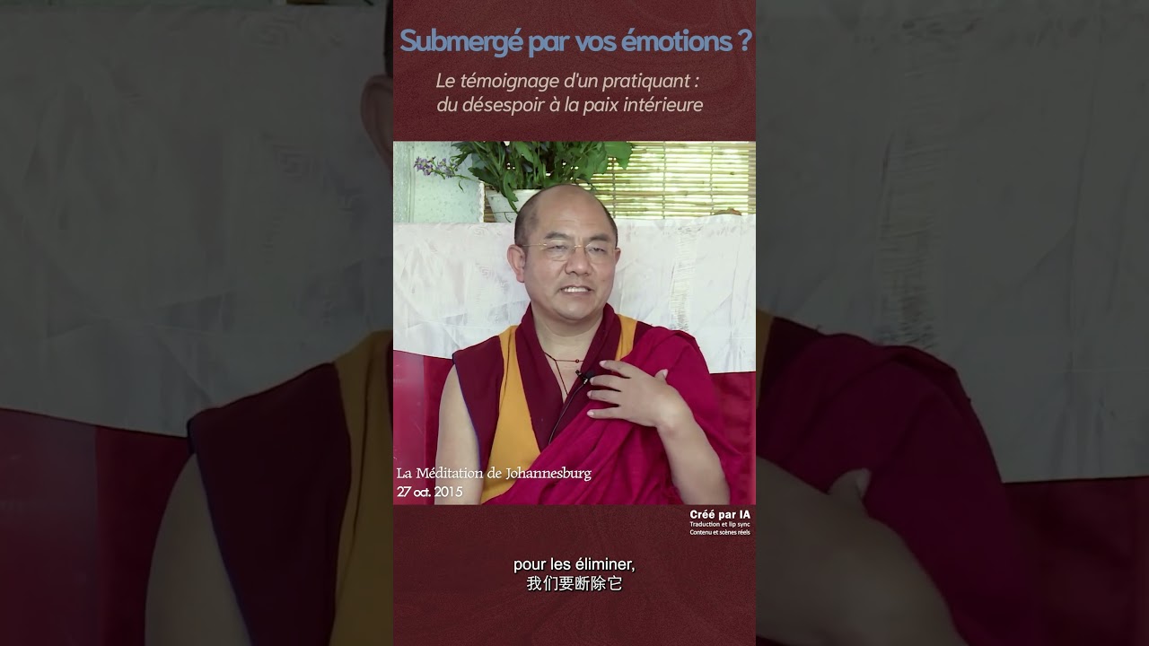 Méthode secrète contre le désespoir : L'histoire vraie d'un pratiquant | 对抗绝望的秘密方法:一位修行人的真实故事
