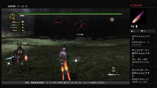 MHFサービス終了まえに遊びまくりたい