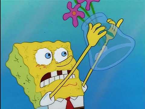 Tea at the Treedome pt.5