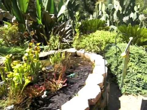 Walkthrough of Kids' Adventure Garden at the Conejo Valley Botanic Garden