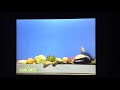 Healthy Food Reversed