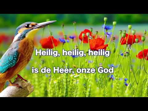 Opwekking 115 Heilig, heilig, heilig