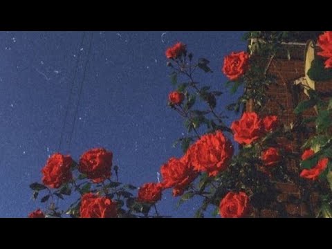 SwaggerBoy x Yoldy N - Te Falle 💔 (AUDIO OFFICIAL)