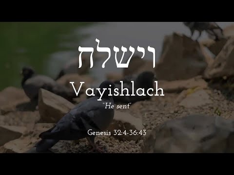 Vayishlach - Free Biblical Hebrew Lessons, Learn Trope