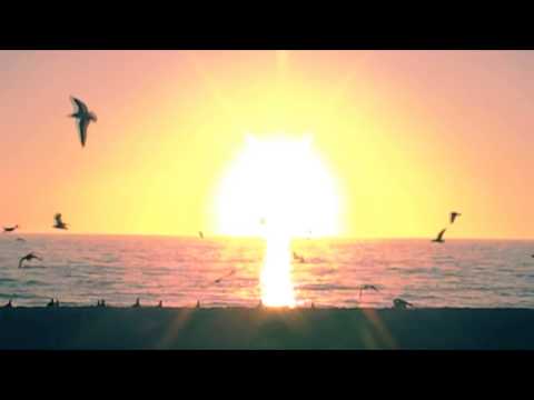 Yoyo - ,,Ballentine's Day,, ( Mixtape EP Umbrele )