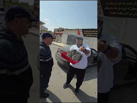 نوع الارنب