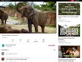 Hollywood Edge Elephant Trumpeting PE024801 In Commercials