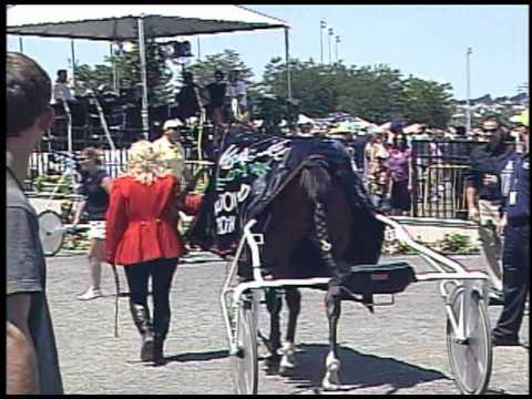 2010 Mistletoe Shalee Final - Dancinwiththestarz & Brian Sears