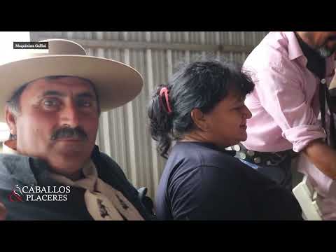 Patronales Maquinista Gallini