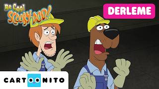 Main Karakterler Korkmaz 😎 | SAKİN OL SCOOBY DOO | @CartoonitoTurkiye