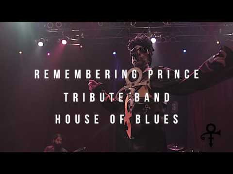 Remembering Prince Tribute Band 3121