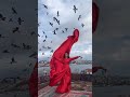 Fatima Faisal New Video All Family In Turkey Sistrology