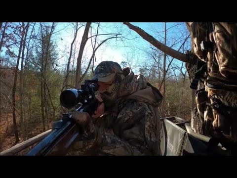 What day does rifle season start in Virginia?