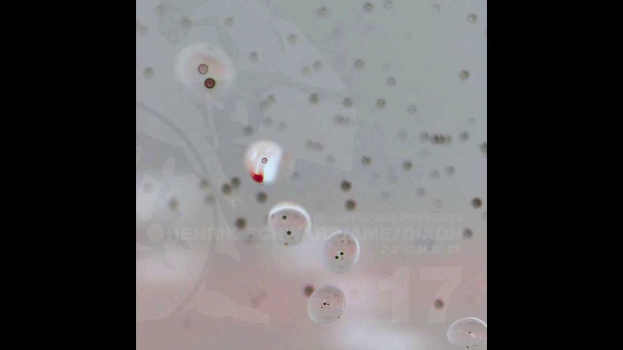 IV17 Henrik Schwarz / Âme / Dixon - D.P.O.M.B. (Version 1) -  D.P.O.M.B. EP