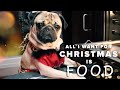 All I Want For Christmas Is Food Doug The Pug