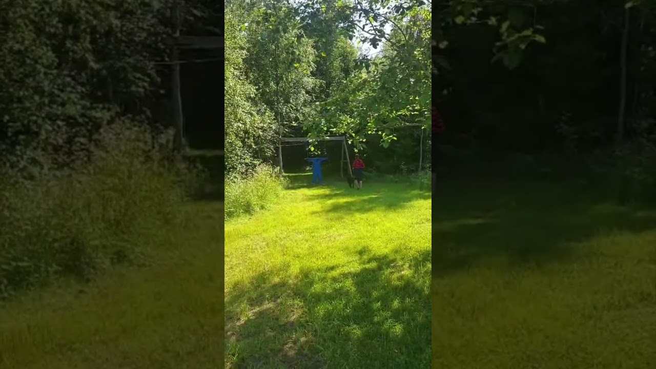Moment 8 - Överraskning