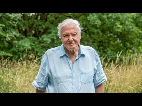 A Message From Sir David Attenborough | A Perfect Planet | BBC Earth