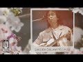 Chrisye Sakura Dalam Pelukan Official Lyric Video