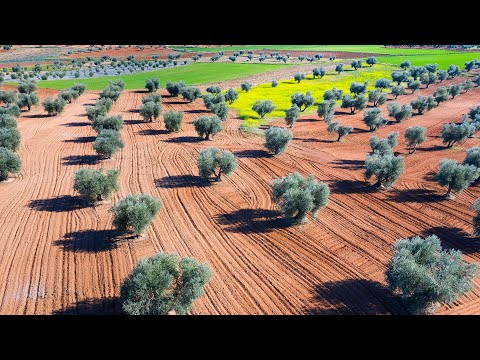 Empowering Greek Rural Heroes with Business Skills