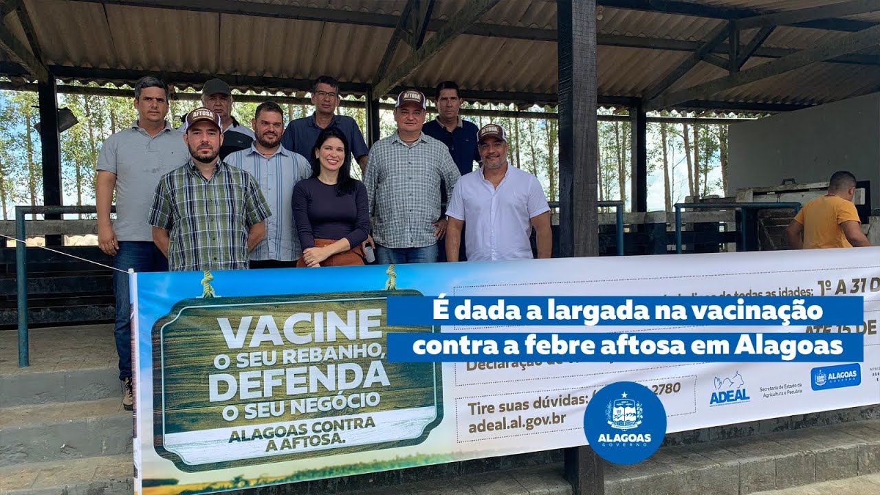 Campanha contra a febre aftosa em Alagoas!