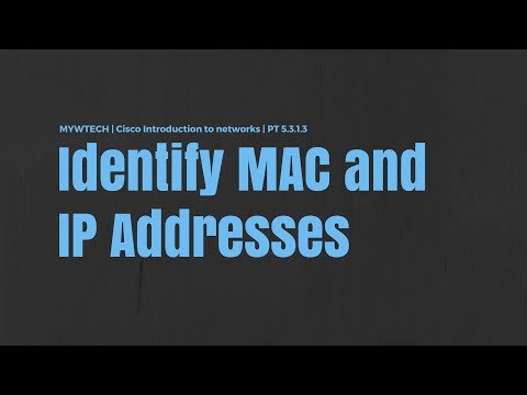 Packet Tracer PT 5.3.1.3 | Cisco ITN | Identify MAC and IP Addresses