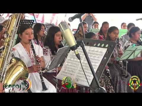 Chispita de Chocolate | Banda Femenil Regional "Mujeres del viento Florido"