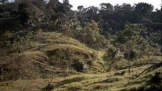preview picture of video 'Venta de Finca en Yotoco Compra de Fincas Valle del Cauca Código: 640MRG'