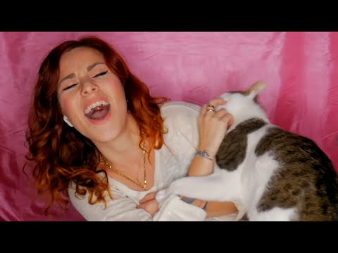 אוסף סרטוני חתולים מצחיקים!