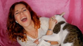 animales fases hilarantes con gatos