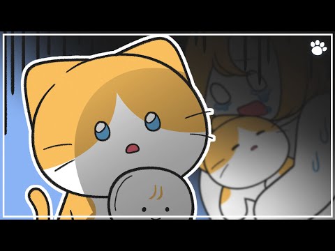 貓奴們小心了！這 4 件會讓貓咪提早上天堂的行為別做！ (4 Things That Cat Owners Do Which Make Cats Die Quickly)