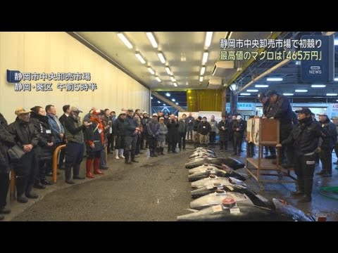 YouTube Video 静岡市の中央卸売市場で新春恒例の初競り　最高値は青森県大間産の１５０キロの本マグロの４６５万円