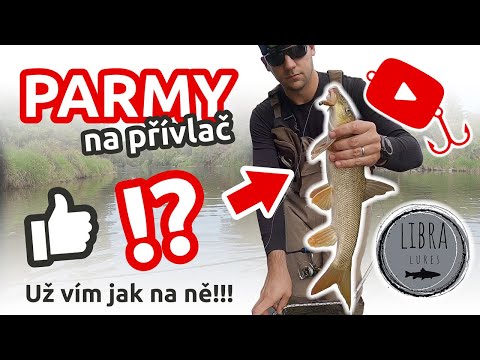 PARMY NA PŘÍVLAČ - Páchnoucí hmyzí larvy | FUNGUJE TO!!!