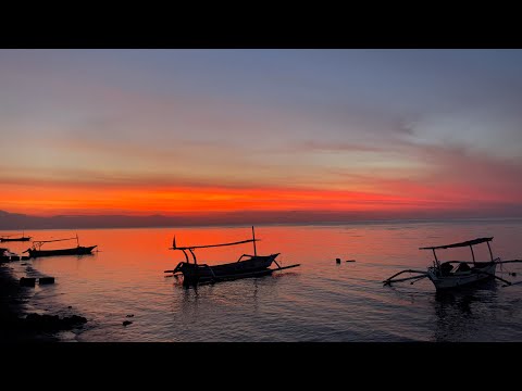 Swimming with dolphins in Bali!
