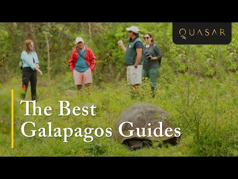 Galapagos gidsen van Quasar