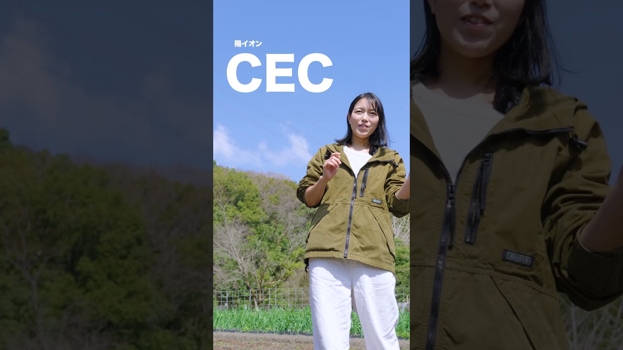 堆肥を入れると土に起こること