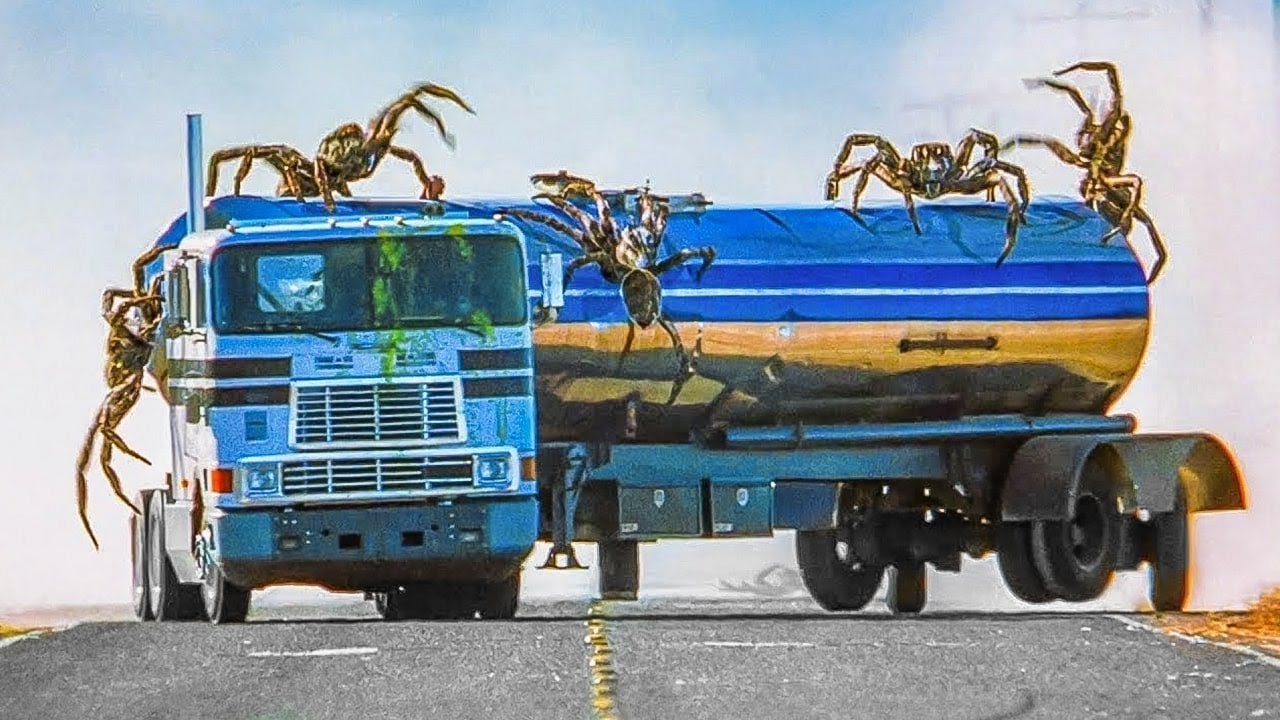 LIXO TOXICO FAZ ARANHAS AUMENTAREM 10x DE TAMANHO E ENVADIREM A CIDADE