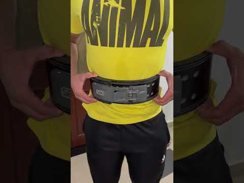 How to wear sbd belt properly. The belt should not be very tight. #powerlifiting #fitnessmotivation