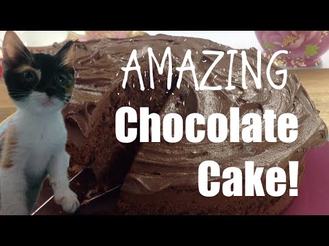 download lagu mp3 mp4 Lemon And Chocolate Cake, download lagu Lemon And Chocolate Cake gratis, unduh video klip Lemon And Chocolate Cake