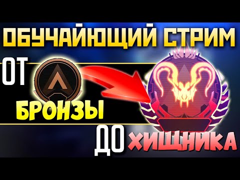✔️ КАК ИГРАТЬ В АПЕКС - Обучающий стрим - 2К Apex Legends СТРИМ qadRaT