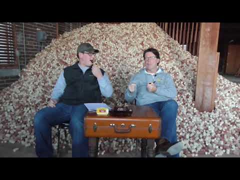 download lagu mp3 mp4 Missouri Meerschaum, download lagu Missouri Meerschaum gratis, unduh video klip Missouri Meerschaum