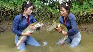 Fishing Technology: Unique Skills Use Large Cannon Pump Sucks Water, Catch Big Fish / Giant Fish