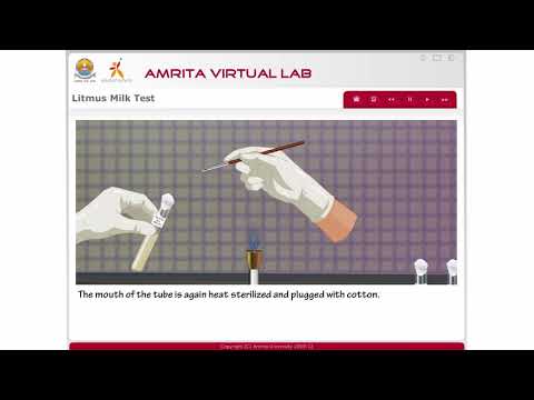 Litmus Milk Test