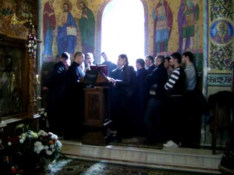 Manastirea Nechit 2009