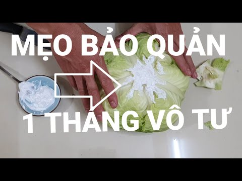 , title : 'mẹo giữ bắp cải 1 tháng , không tủ lạnh (best tip of store cabage in 1 month, no REFRIGERATOR)'