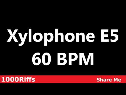 Xylophone E5 Metronome : 60 BPM ✓
