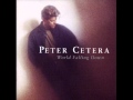 Peter Cetera - Have You Ever Been In Love